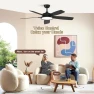 Превью Smart Ceiling Fan with Light — Ceiling Fans & Accessories, Roomratv