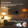 Превью Smart Light Bulbs — LED, Linkind