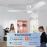 Превью Smart Low Profile Ceiling Fan with Lights — Ceiling Fans & Accessories, Hoenofly