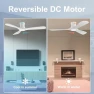 Превью Smart Low Profile Ceiling Fan with Lights — Ceiling Fans & Accessories, Hoenofly