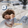 Превью Smart Low Profile Ceiling Fan with Lights — Ceiling Fans, cumilo