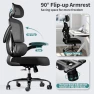 Превью Ergonomic Desk Chair with Lumbar Support — Desk Chairs, TRALT