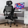 Превью Ergonomic Desk Chair with Lumbar Support — Desk Chairs, TRALT