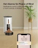 Превью Automatic Wi-Fi Pet Feeder with Desiccant Bag, Voice Recorder, and Dual Power — Automatic Feeders, Petory