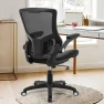Превью Ergonomic Desk Chair with Adjustable Lumbar Support and Flip-up Arms — Desk Chairs, X XISHE