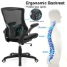 Превью Ergonomic Desk Chair with Adjustable Lumbar Support and Flip-up Arms — Desk Chairs, X XISHE