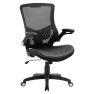 Превью Ergonomic Desk Chair with Adjustable Lumbar Support and Flip-up Arms — Desk Chairs, X XISHE