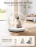 Превью Self Cleaning Litter Box — Waste Bins, Meowant
