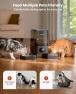 Превью Cordless WiFi Automatic Cat Feeder for 2 Cats — Smart Pet Feeders, oneisall