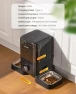 Превью Cordless WiFi Automatic Cat Feeder for 2 Cats — Smart Pet Feeders, oneisall