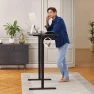 Превью Electric Standing Desk Frame — Mounts, ErGear