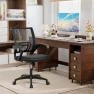 Превью Ergonomic Office Chair — Desk Chairs, BestOffice