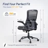 Превью Office Desk Chair for Long Hours & Lower Back Pain Relief — Desk Chairs, QLTPLUS