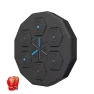 Bluetooth Connected Smart Boxing Trainer — Boxing Training Gear, Binchi Keji Travel