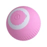 USB Rechargeable Interactive Pet Toy — Balls, Car Enthusiast