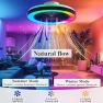 Превью Smart Ceiling Fan with RGB Lights — Ceiling Fans, DIAMONDFORGE
