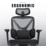 Превью High Back Mesh Ergonomic Desk Chair — Desk Chairs, SweetGate