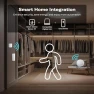 Превью Motion Sensor — Motion Sensors, THIRDREALITY
