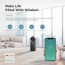Превью Air Purifier Fan with Smart WIFI — Activated Carbon Air Purifiers, AROEVE