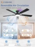 Превью Smart Ceiling Fan with RGB Lights — Ceiling Fans, ZMISHIBO