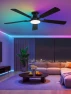 Превью Smart Ceiling Fan with RGB Lights — Ceiling Fans, ZMISHIBO