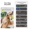 Превью Smart Dog Tracker Collar — Trackers, Fi