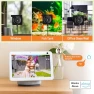 Превью Window Camera for Home Security — Dome Surveillance Cameras, Heemketz