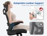 Превью Ergonomic Office Chair with Adjustable Headrest and Lumbar Support — Desk Chairs, TRALT