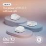 Превью Dual-Band Mesh Wi-Fi 7 Router — Mesh Wi-Fi Systems, eero