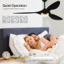 Превью 52 Inch Black Modern Ceiling Fan with Light and Remote Control — Ceiling Fans, reiga