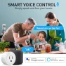 Превью WiFi Smart Plug — Smart Home Hubs & Controllers, KimPump