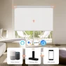 Превью Smart Hub for Motorized Blinds — Smart Home Hubs & Controllers, Canisteo