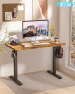 Превью Electric Adjustable Standing Desk — Monitor Stands, BIZUM