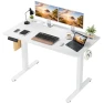 Превью Electric Standing Desk — Monitor Stands, SageNest