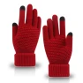 Winter Touchscreen Gloves — Heated Gloves, SweetInfant