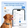 Превью Smart Dog GPS Tracker with Virtual Fence and Vital Signs Monitoring — Trackers, Tractive