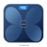 Smart Body Fat Scale — Smart Scale, Hyundai