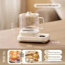 Smart Multifunctional Electric Health Kettle — Electric Kettle, Shangqi