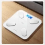 Rechargeable Smart Body Fat Scale — Smart Scale, Konka