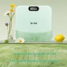 Smart Body Fat Scale — Smart Scale, Bear