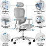 Превью Ergonomic Office Chair with Adjustable Lumbar Support and Seat Depth — Smart Chairs, PatioMage
