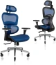Превью Ergonomic Office Chair with Lumbar Support, Adjustable Armrests, Headrest, and Wheels — Smart Chairs, Nouhaus