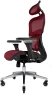 Превью Ergonomic Office Chair with Lumbar Support, Adjustable Armrests, and Headrest — Smart Chairs, Nouhaus