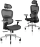 Превью Ergonomic Office Chair with Lumbar Support, Adjustable Armrests, and Headrest — Smart Chairs, Nouhaus