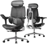 Превью Ergonomic Office Chair — Smart Chairs, Hbada