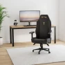 Превью Gaming Chair - Reclining, Ergonomic & Heavy Duty Computer Chair with 4D Armrest, Magnetic Head Pillow & Lumbar Support -... — Smart Chairs, Secretlab