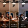 Превью Smart Ceiling Fan with Lights — Smart Fan, Consciot
