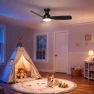 Превью Smart Ceiling Fan with Lights — Smart Fan, Consciot