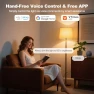 Превью Smart Light Bulbs — Smart Light Bulb, VTimes