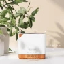 Превью Smart WiFi Essential Oil Diffuser with Humidifier — Essential Oil Diffuser, ASAKUKI